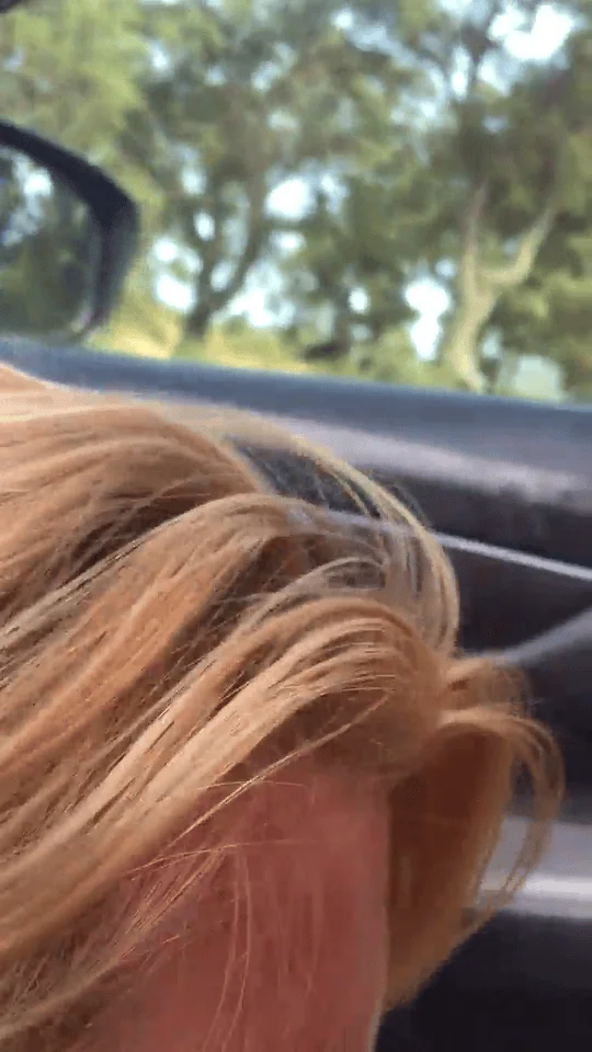 Jonquera bitch sucks me off accepts that i film her for 20  