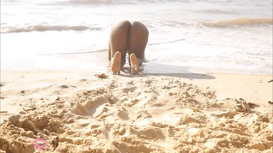 A quickie in her pussy on the sand   part 1 gif part10