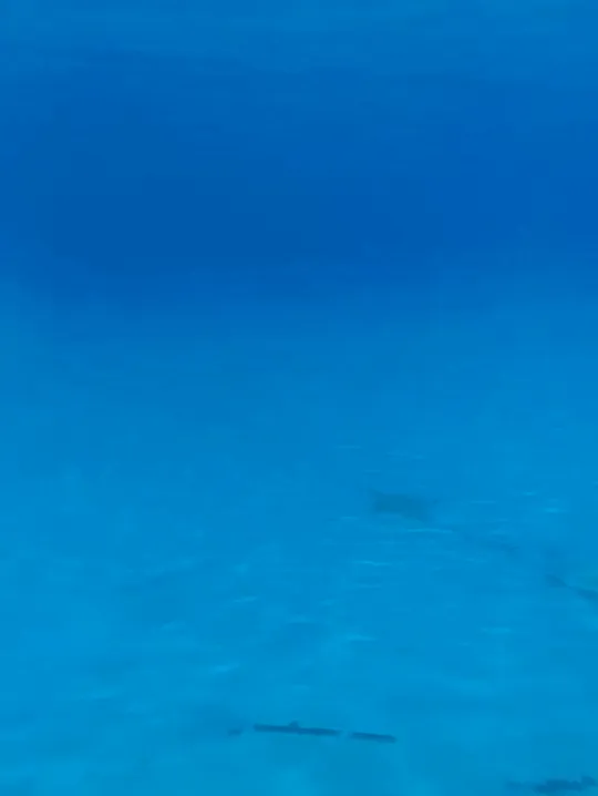 Fucking in the pool with my girlfriend with a happy ending  we fucked very well and she gave me a handjob  i finished and left the milk in the water part 2 gif part1