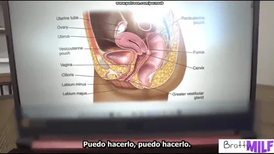 Mi madrastra me saca toda la leche de la polla para que pueda concentrarme en estudiar sub espa ol ver completo tusub3 blogspot com gif part1