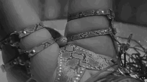 Snake fantasy