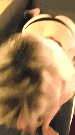 Suce avant que je t'encule